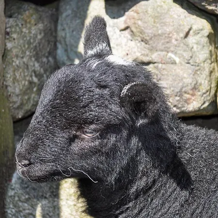 度假居 High Wallabarrow Farm *